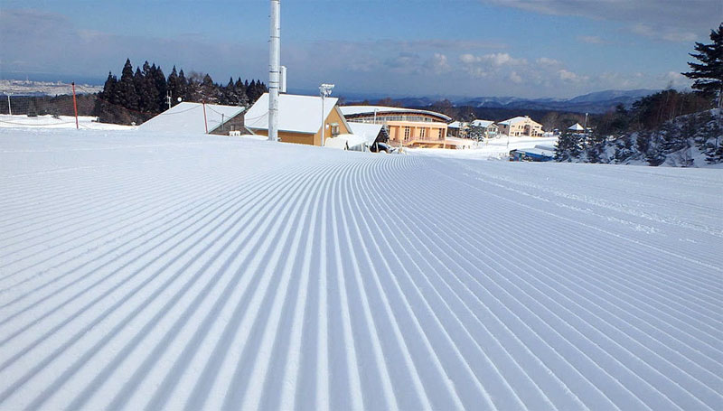 モヤヒルズケビン