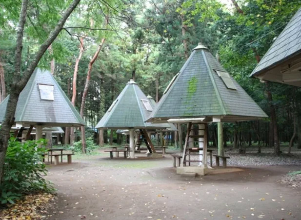 つくば市　豊里ゆかりの森