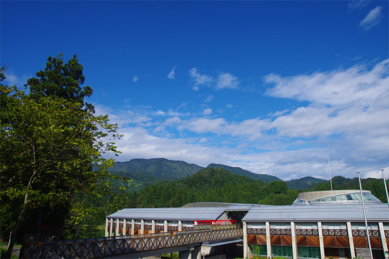 こども自然王国